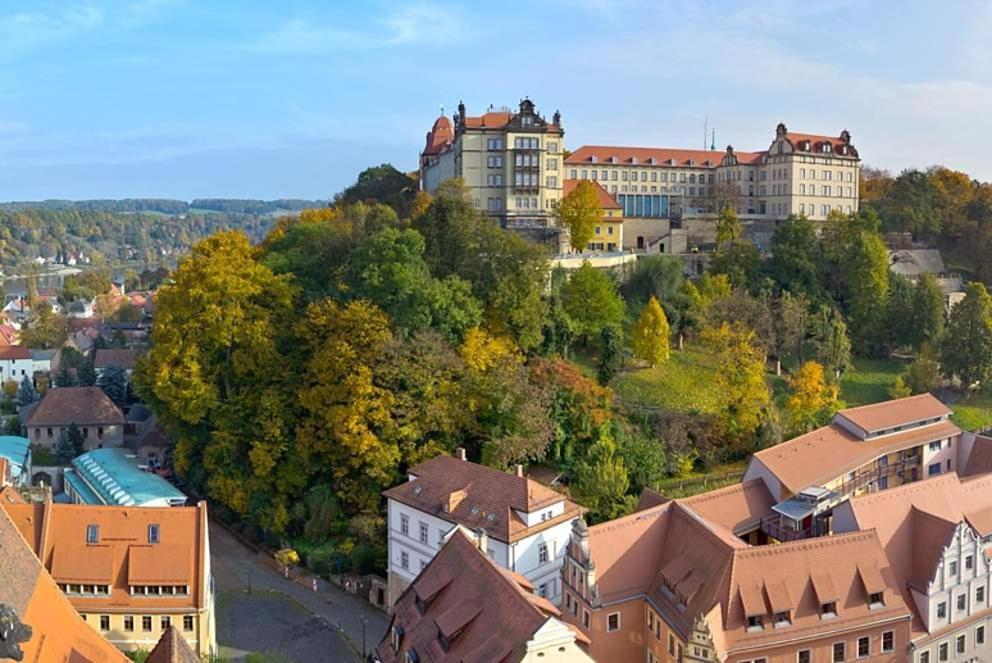 Apartment Altstadt Pirna Buitenkant foto